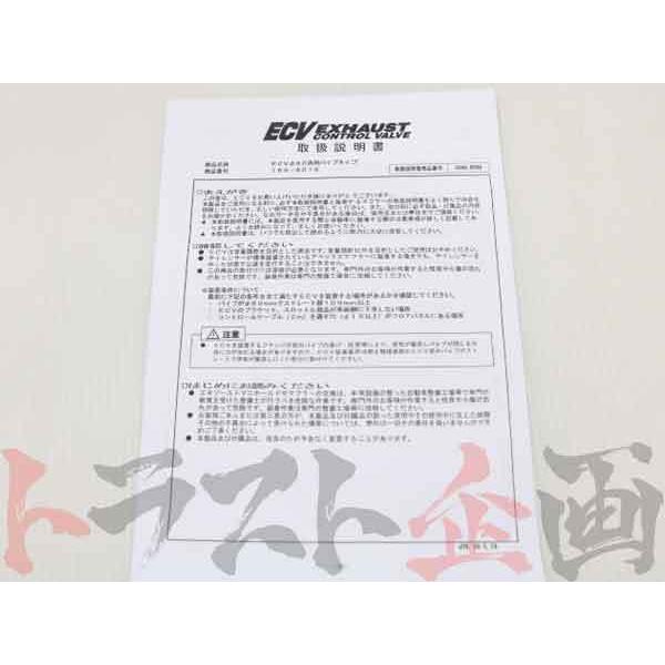 アペックス（APEX） APEXi ECV Φ80 パイプ汎用タイプ エキゾースト