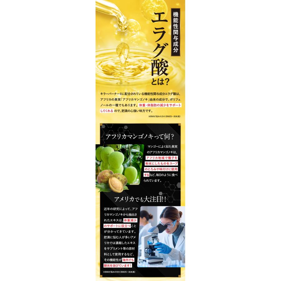 公式_正規販売店】2個セット キラーバーナー II ダイエット 公式_正規販売店】2個セット キラーバーナー II ダイエット