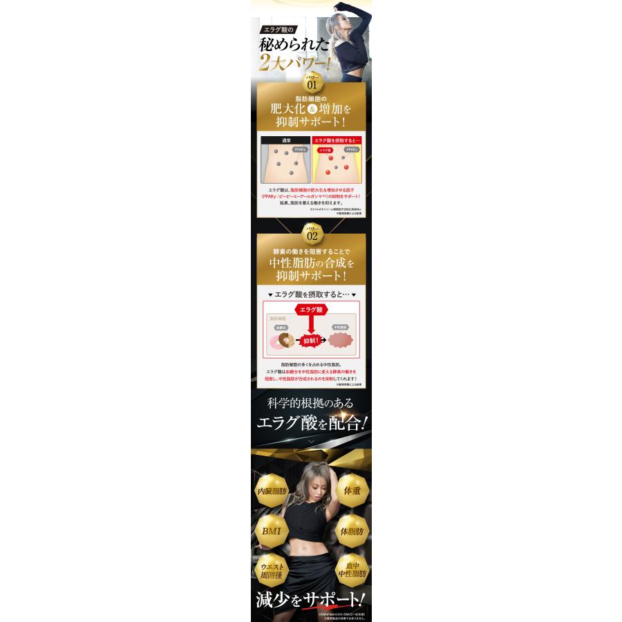 公式_正規販売店】2個セット キラーバーナー II ダイエット 公式_正規販売店】2個セット キラーバーナー II ダイエット