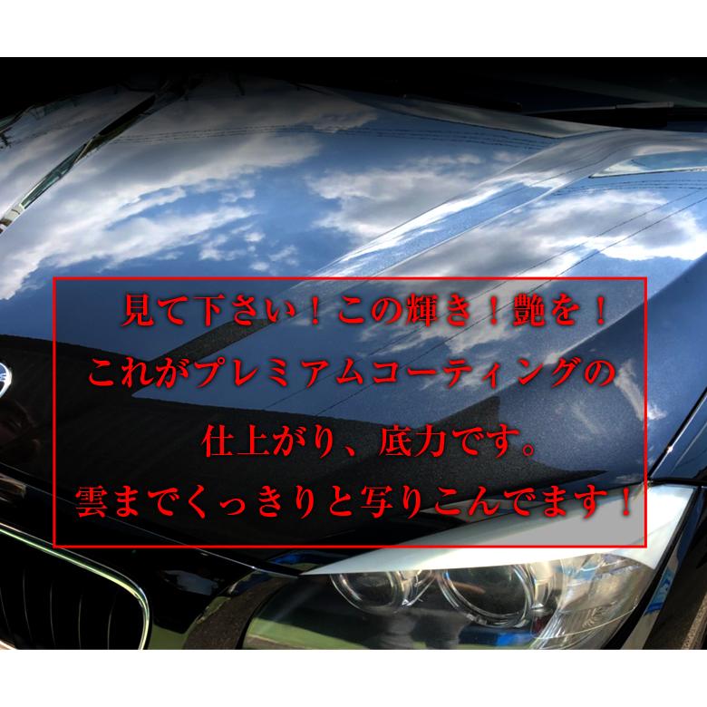 コーティング剤 車 プレミアム ガラス系コーティング 300 H901 ガラスコーティング コーティング プロスタッフ 撥水 艶 窓 ヘッドライト|trusty-car|03