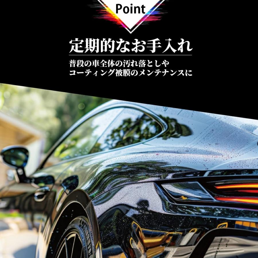 モンスター 3pH-S シャンプーセット  カーシャンプー シャンプー プロスタッフ アルカリ性 酸性 中性 汚れ 高濃度 油汚れ 水アカ 虫 花粉 イオンデポジット |  | 10