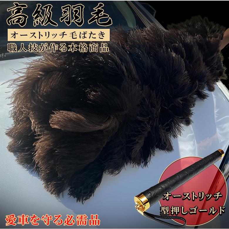 あやめ★オーストリッチ 羽毛 オーストリッチ 羽根45～55cm ・フェザー