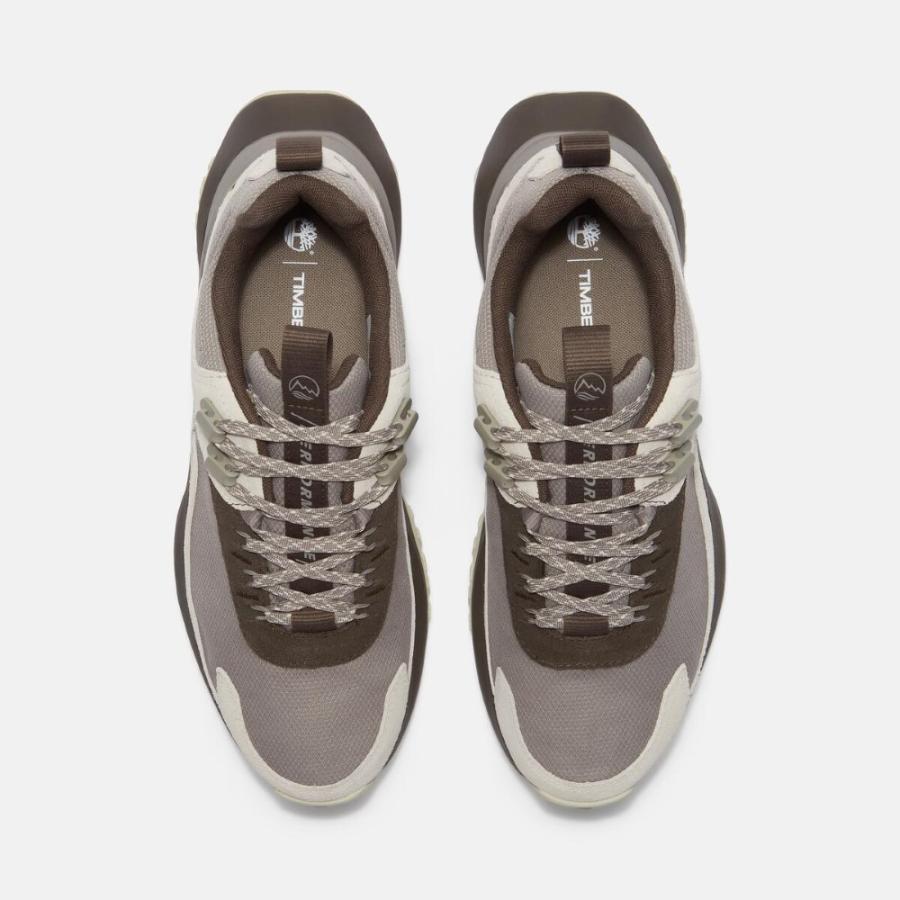 Timberland（ティンバーランド） トレッキングシューズ メンズ