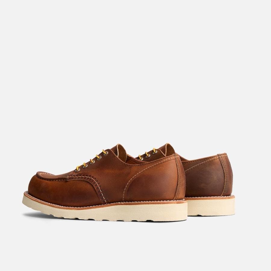 RED WING SHOES（レッドウィング） RED WING 国内正規品 Classic Moc