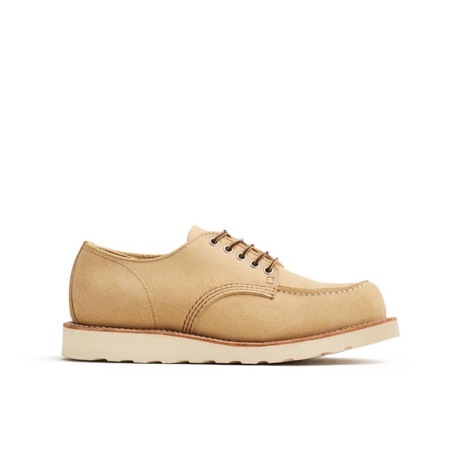RED WING SHOES（レッドウィング） RED WING 国内正規品 Classic Moc