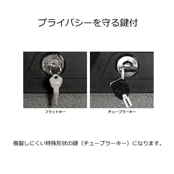セントリー Sentry CHW20201 チューブラーキーモデル 火災保証 セントリー Sentry CHW20201 チューブラーキーモデル 火災保証