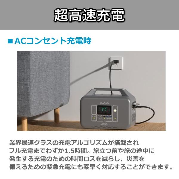 リン酸鉄リチウムイオン電池 ポータブル電源 本体 高出力 1000W 大容量