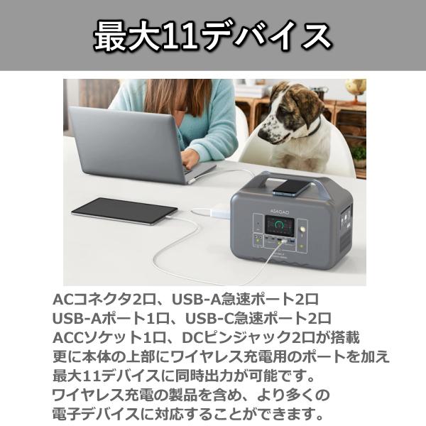 リン酸鉄リチウムイオン電池 ポータブル電源 本体 高出力 1000W 大容量