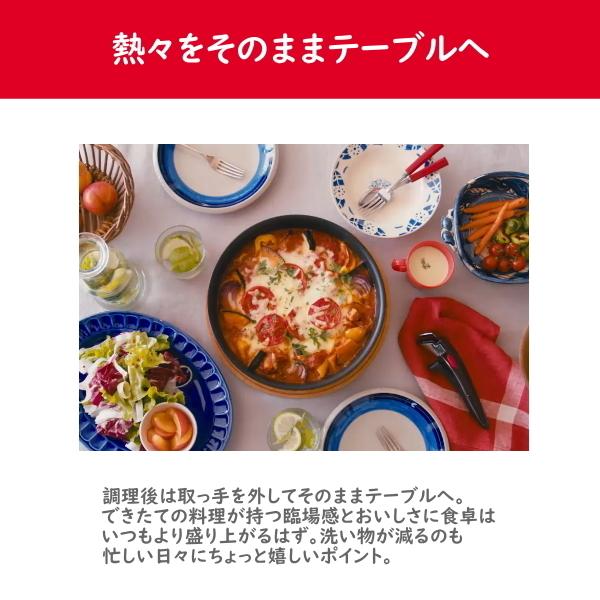 T-fal ウォックパン付6点セット T-Fal 史上最高峰コーティング T-fal ウォックパン付6点セット T-Fal 史上最高峰コーティング