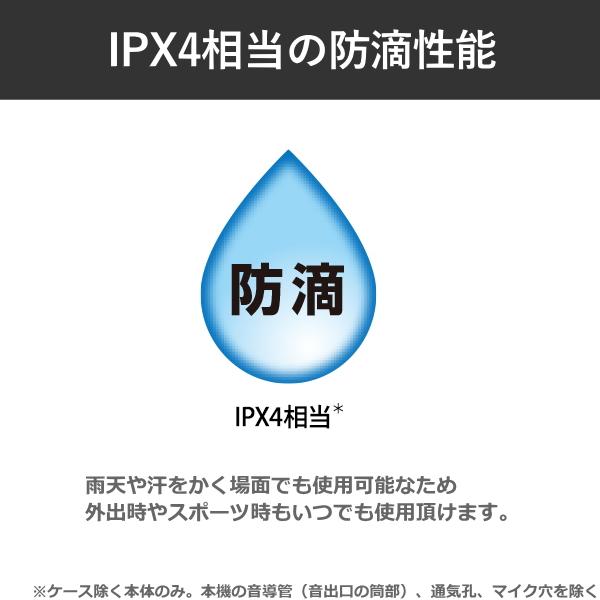 SONY イヤホン WF-1000XM5 WF-1000XM5(S) マイク付き ワイヤレス イヤフォンの画像