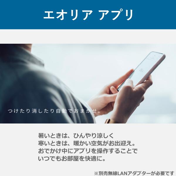 エオリア 工事費込 パナソニック エアコン CS-225DFL-W 主に6畳用 2.2