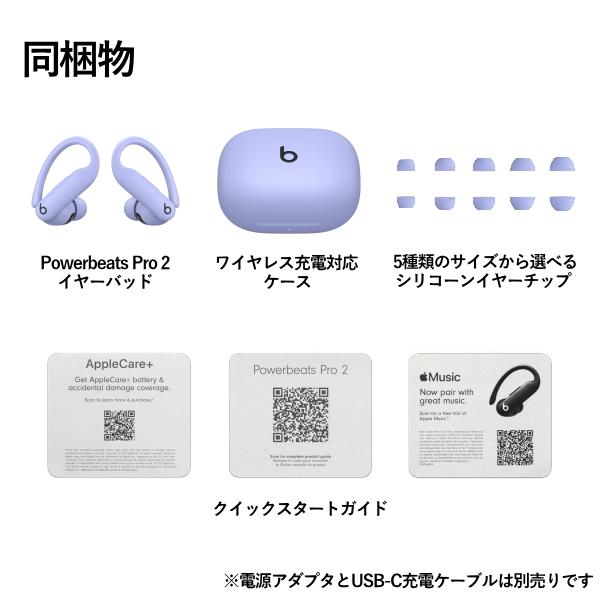 Powerbeats Pro 2 ケース付き 本日限定価格 楽天市場】Beats Powerbeats Pro 2 ケース 高級PUレザー素材 カバー