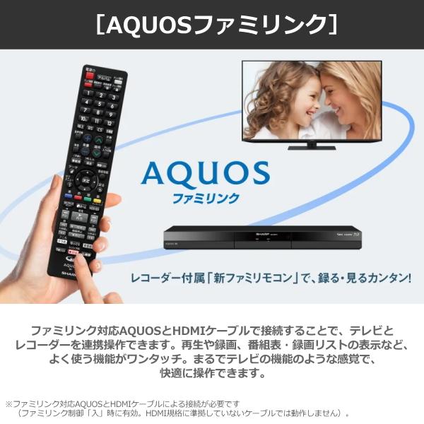 AQUOS シャープ 2B-C20GW1 ブルーレイディスクレコーダー 2TB AQUOS シャープ 2B-C20GW1 ブルーレイディスクレコーダー 2TB