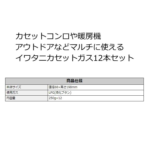 Iwatani（イワタニ） 岩谷 カセットガス カセットボンベ 1本250g×12本