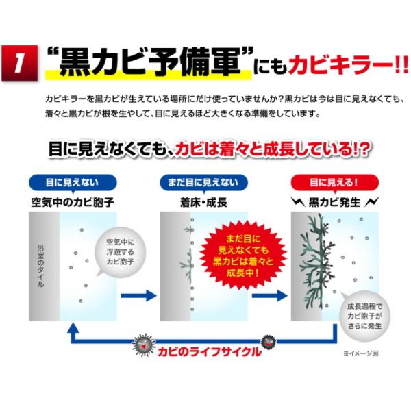 カビキラー 本体+詰替 特大サイズ 3本パック 本体(1000g) + 詰替(1000g×2) 黒カビ カビ取り カビ取り剤 カビ対策 お風呂 3本セット｜try3｜02