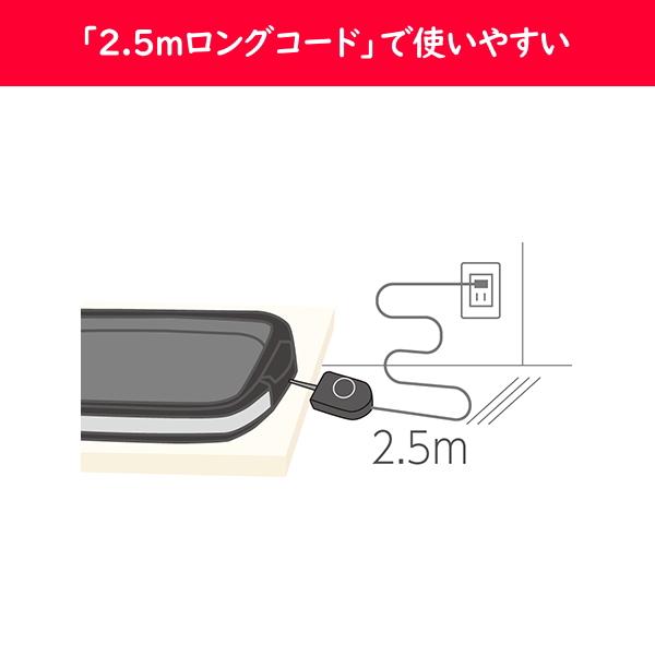 やきやき ZOJIRUSHI 象印 ホットプレート ワイド 48cm 平面プレート