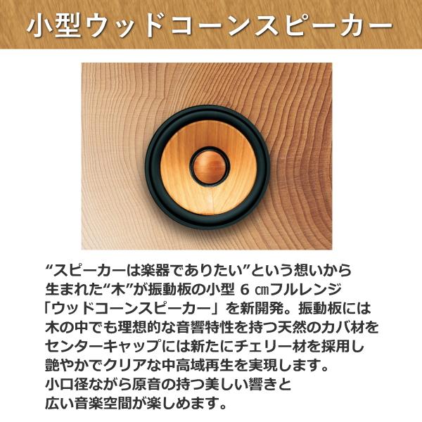 WOOD CONE ビクター ミニコンポ スピーカー EX-DM10 一体型 コンパクト