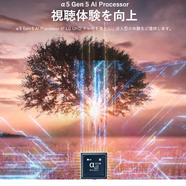 現品発送 ネット動画対応モデル LG 4K 55インチテレビ 液晶テレビ 55インチ 55型 55UQ9100PJD 55型テレビ 4Kテレビ 液晶TV 55 55V 壁掛け対応 外付HDD対応 【OC1066525555】(38750円)