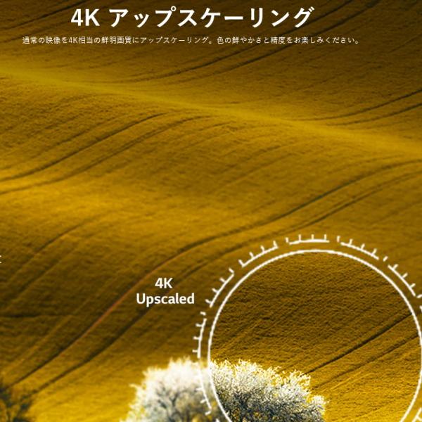 現品発送 ネット動画対応モデル LG 4K 55インチテレビ 液晶テレビ 55インチ 55型 55UQ9100PJD 55型テレビ 4Kテレビ 液晶TV 55 55V 壁掛け対応 外付HDD対応 【OC1066525555】(38750円)