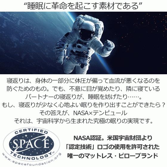 テンピュール（TEMPUR） M 枕 高さ10cm 国内正規品 NASA認定 かため