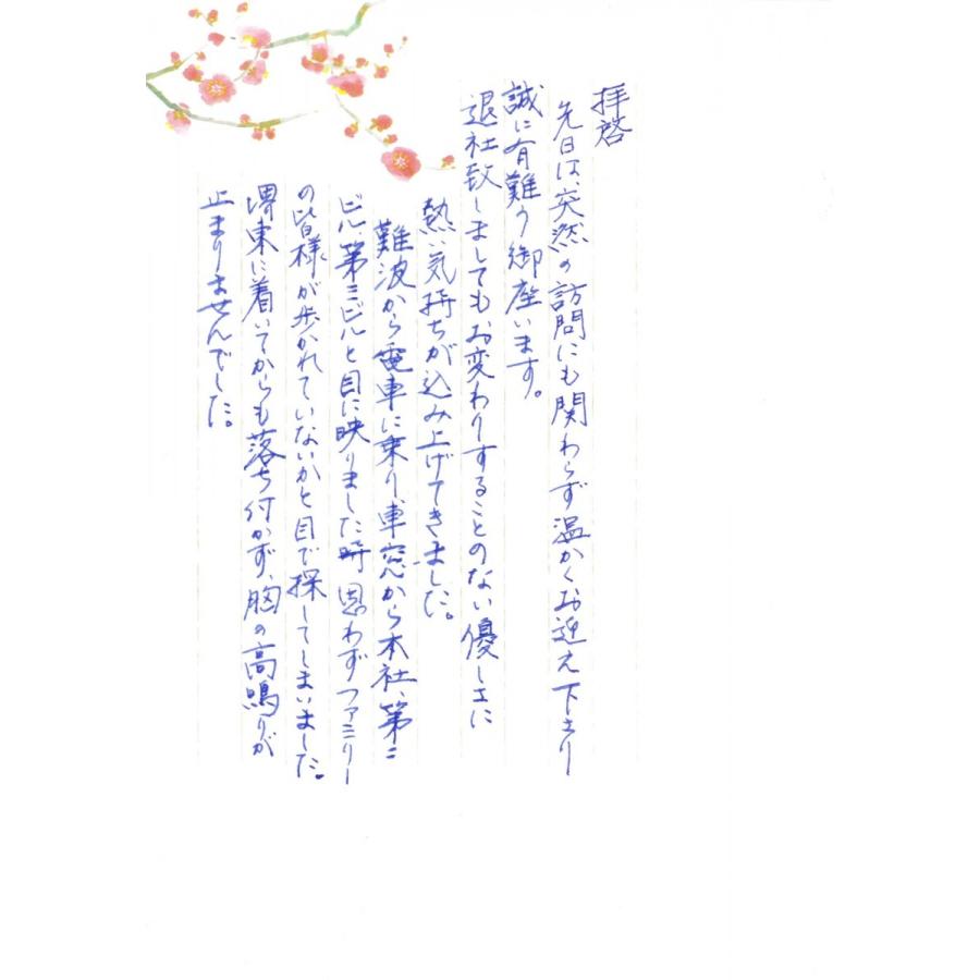 万年筆 インクカートリッジ ６本 ブルーブラック ヨーロッパ規格 送料108円 Ink06 トライアングル セレクション 通販 Yahoo ショッピング