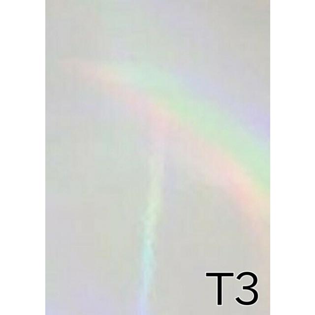 オンデマンドペーパー レーザープリンター用紙 2.5DホログラムペーパーNeo 片面ホロ A3