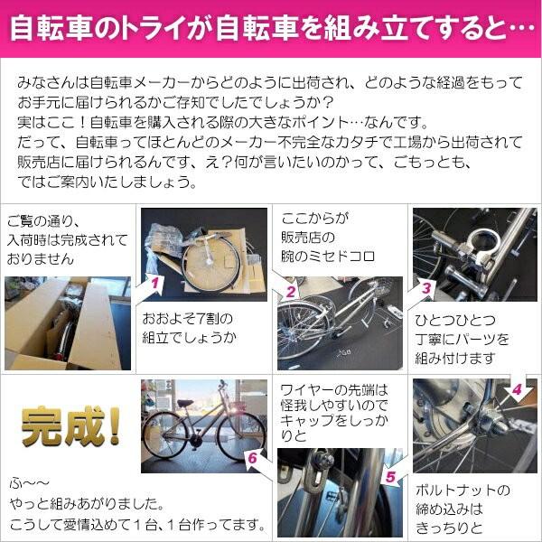 【メーカー純正品】【正規代理店品】ブリヂストン シティサイクル自転車 アルベルト A75LB M.ジュエルDブルー｜trycycle｜02