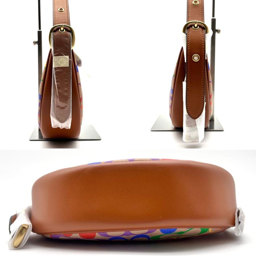 コーチ F19454 ショルダーバッグ マルチカラー  COACH マルチカラー キャンバスレザー COACH コーチ ルナ ワンショルダーバッグ レインボー シグネチャー