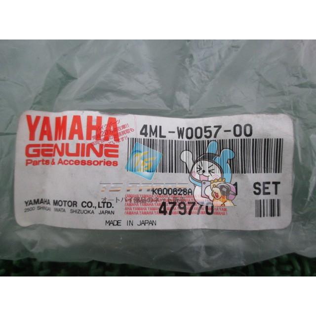 YAMAHA（ヤマハ） TY250ZS キャリパーピストン 在庫有 即納 純正 新品