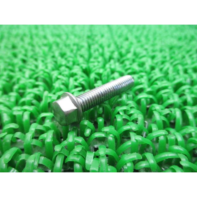 カワサキ（Kawasaki） エリミネーター250V エンジンカバーボルト 在庫