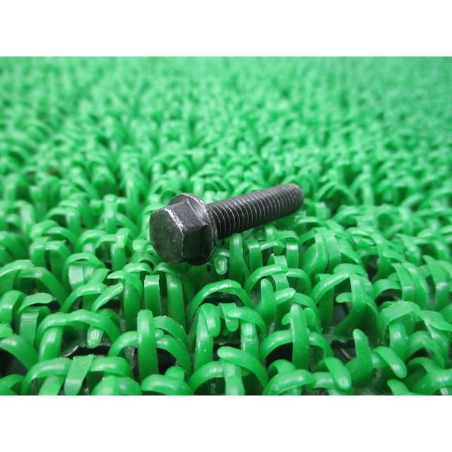 カワサキ（Kawasaki） NinjaZX-10R フランジボルト 在庫有 即納 純正