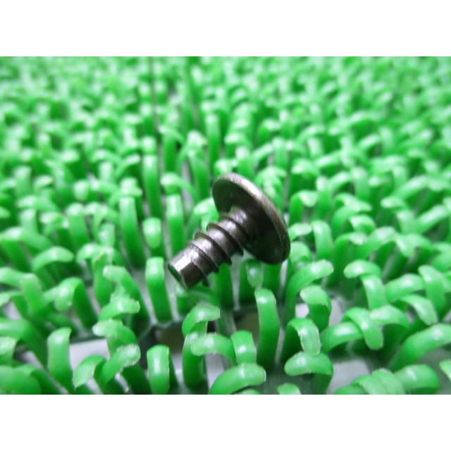 カワサキ（Kawasaki） NinjaZX-12R サイドカウルスクリュー 純正 新品