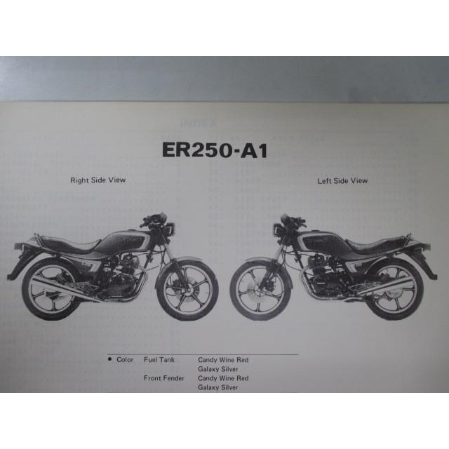 カワサキ（Kawasaki） Z250T パーツリスト 1版 正規 中古 バイク 整備