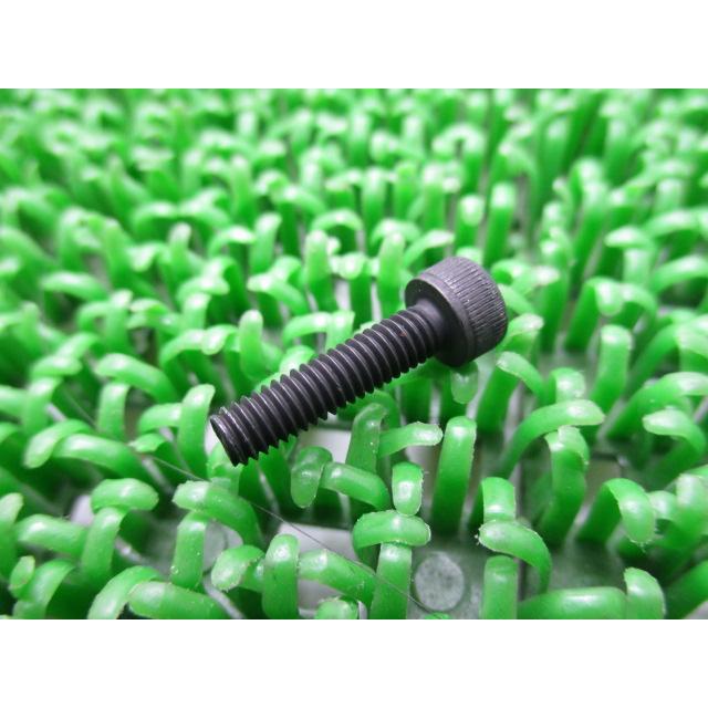 カワサキ（Kawasaki） バルカン400クラシック フロントフォークボルト