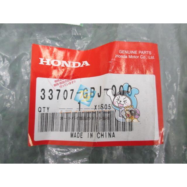 はなページ ホンダ（HONDA） スーパーカブ50 テールライトコード 在庫有 即納 純正