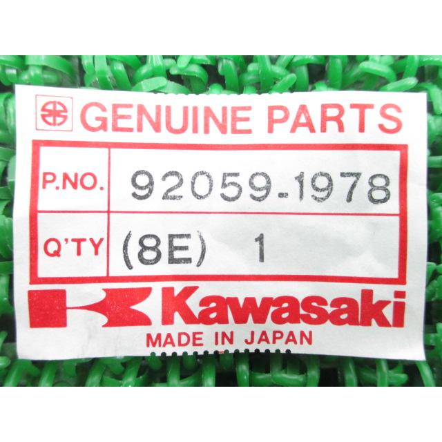 カワサキ KLE250アネーロ キャブレターチューブ 純正 新品