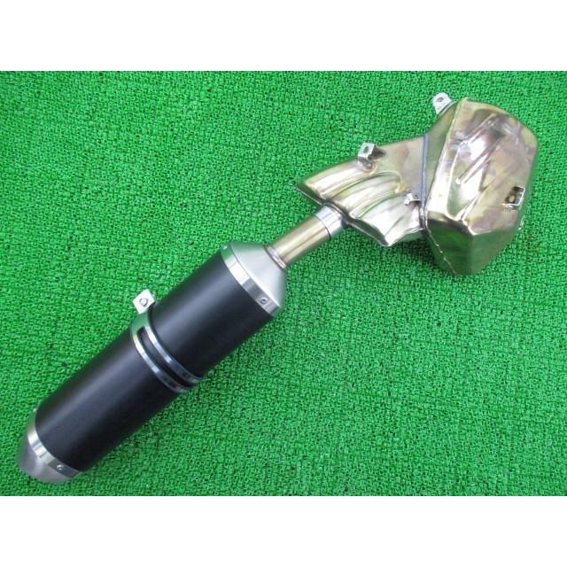 F3 マフラー B8319/B8320 PGO 純正 中古 バイク 部品 ZCGF320AAEV003*** B8320 ブルターレ800DSにも MVアグスタ 触媒 コケキズ無し 19 F3 マフラー B8319/B8320 PGO 純正 中古 バイク 部品 ZCGF320AAEV003