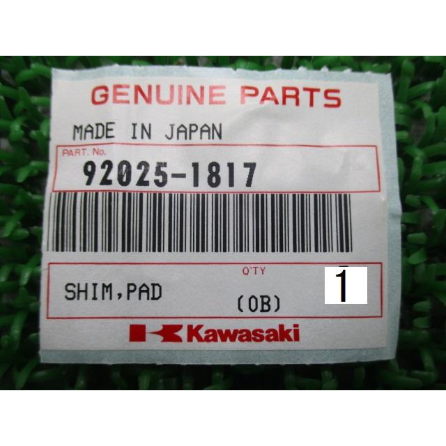 カワサキ（Kawasaki） エリミネーター125 フロントキャリパーシム 純正