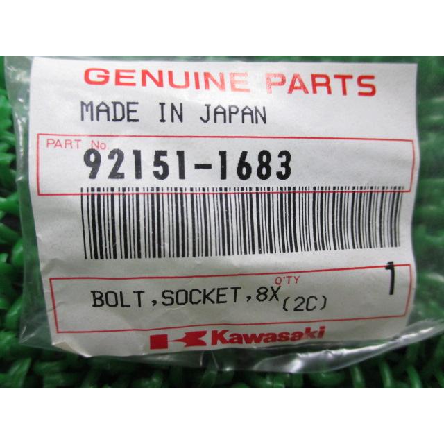 カワサキ（Kawasaki） NinjaZX-12R フロントフォークソケットボルト