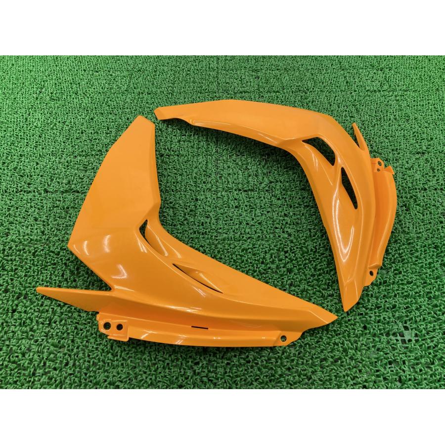 光 カワサキ（Kawasaki） Z1000 サイドカウル 左右 黄M 49125-0574/49125