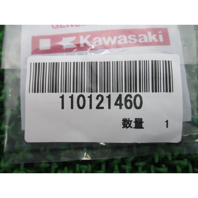 ZZR1100 フレームキャップ 在庫有 即納 カワサキ 純正 新品 バイク 部品 在庫有り 即納可 車検 Genuine ZZ-R400 ZZ- R1100 GPZ1100 ZX-10 :22243487:ティーエスパーツ 通販 ZZ-R1100 ミラーボルトキャップ 在庫有 即納 カワサキ 純正 新品 バイク 部品 車検 Genuine ZZ-R400 ZZ-R600