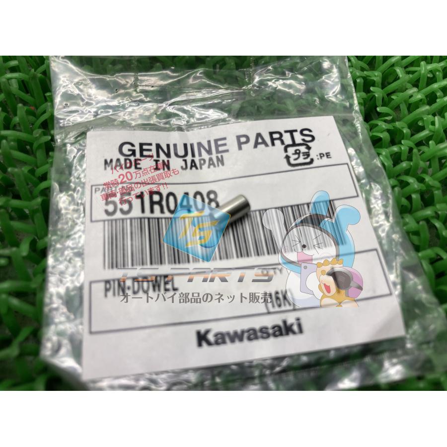 カワサキ NinjaZX-10R ダウエルピン 在庫有 即納 純正 新品