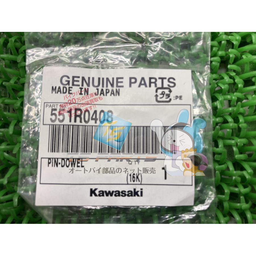 カワサキ NinjaZX-10R ダウエルピン 在庫有 即納 純正 新品 カワサキ NinjaZX-10R ダウエルピン 在庫有 即納 純正 新品