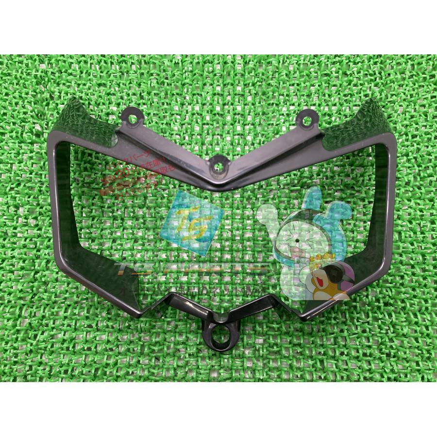 カワサキ（Kawasaki） KLX250 ヘッドライトロアカバー 在庫有 即納