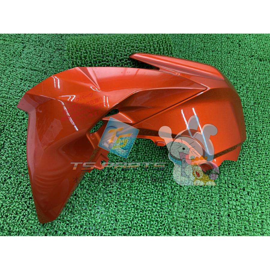 Z125PRO シュラウド 左 BR125HGF 在庫有 即納 カワサキ 純正 新品 バイク 部品 廃盤 在庫有り 即納可 車検 Genuine 49 カワサキ（Kawasaki） Z125PRO シュラウド 左 BR125HGF 在庫有 即納
