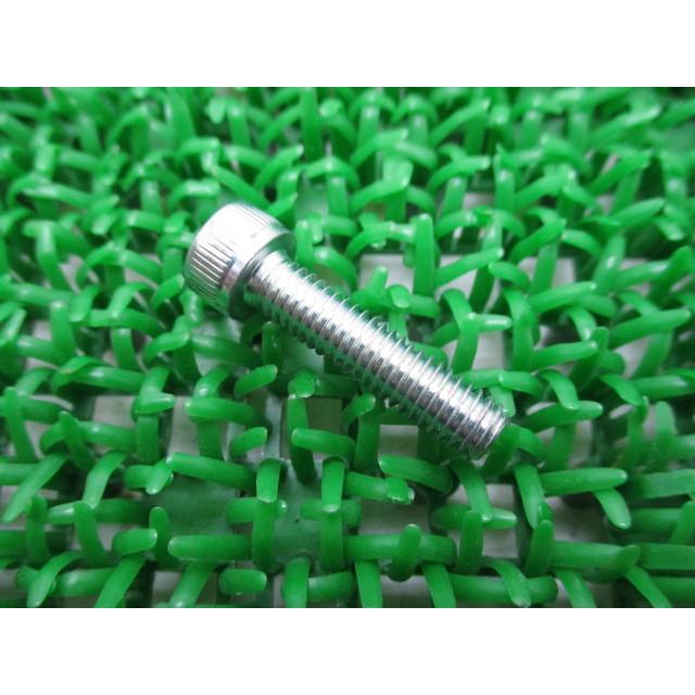 カワサキ（Kawasaki） Ninja250 ステーターコイルボルト 在庫有 即納