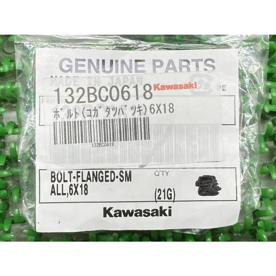 カワサキ（Kawasaki） KLX250 ジェネレーターカバーキャップボルト