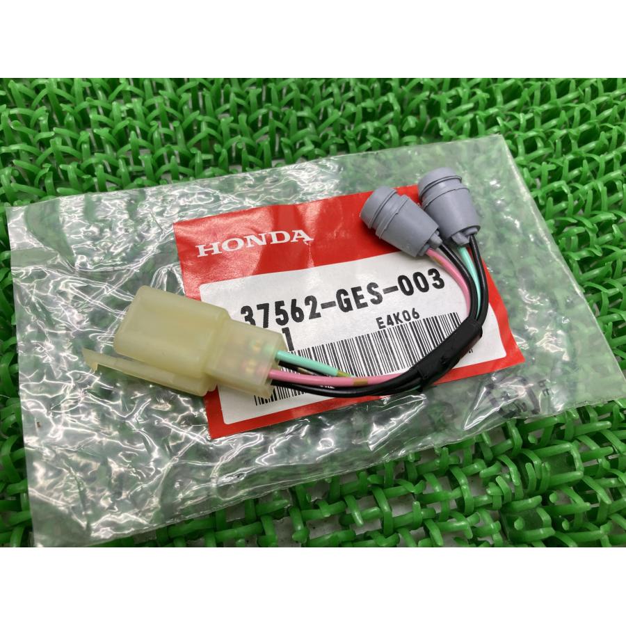 ホンダ（HONDA） ジョルノ イルミネーションソケット 在庫有 即納 純正