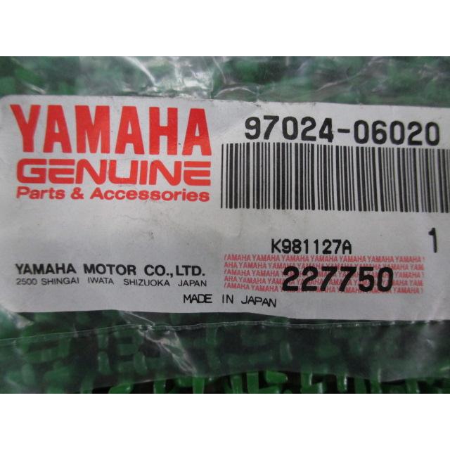 ヤマハ発動機 XJR400 シフトペダルボルト 在庫有 即納 ヤマハ 純正