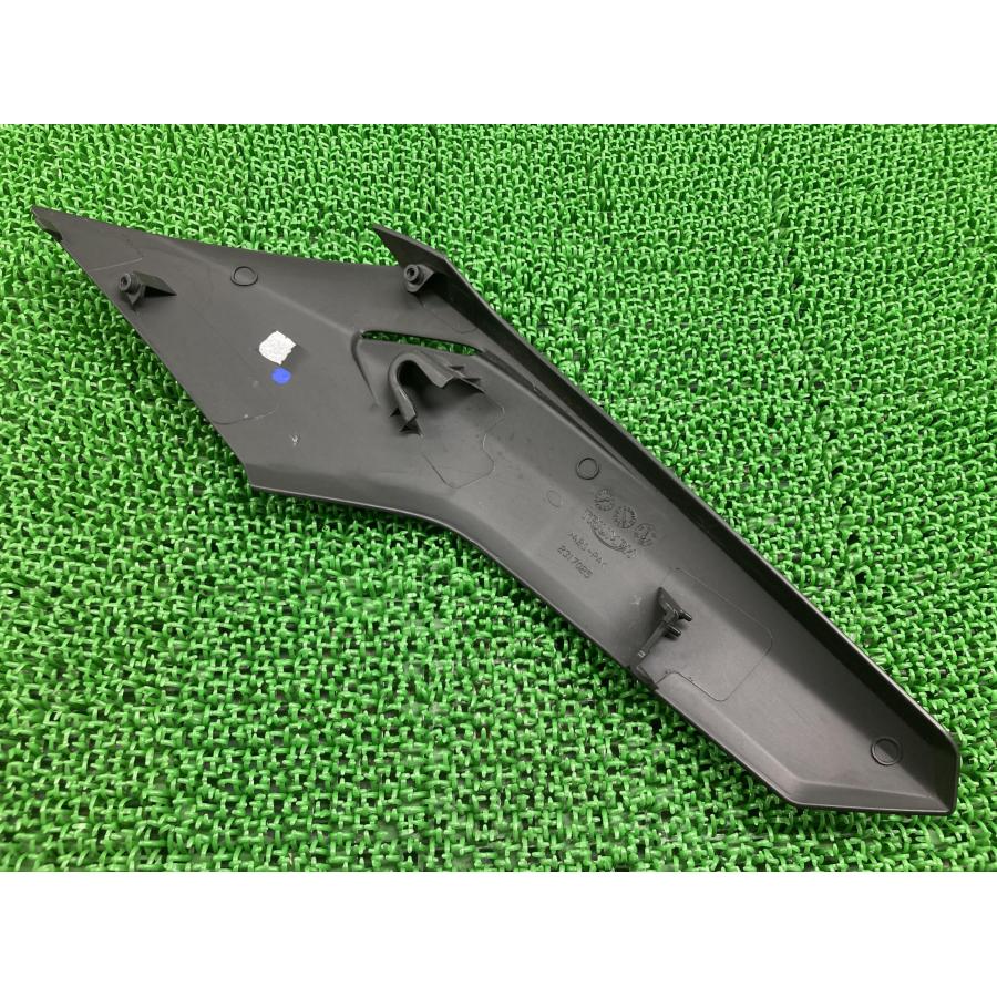 ストリートトリプル765RS アンダーカウル 右 黒 2317025 トライアンフ